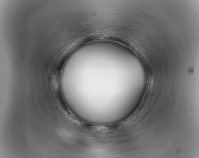 X0000089890719200707262230
