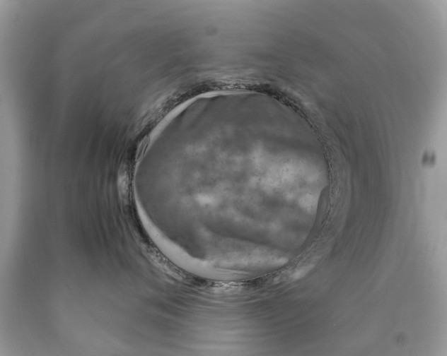 X0000089890720200707262230