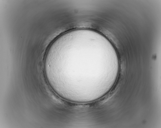 X0000089890721200707262229