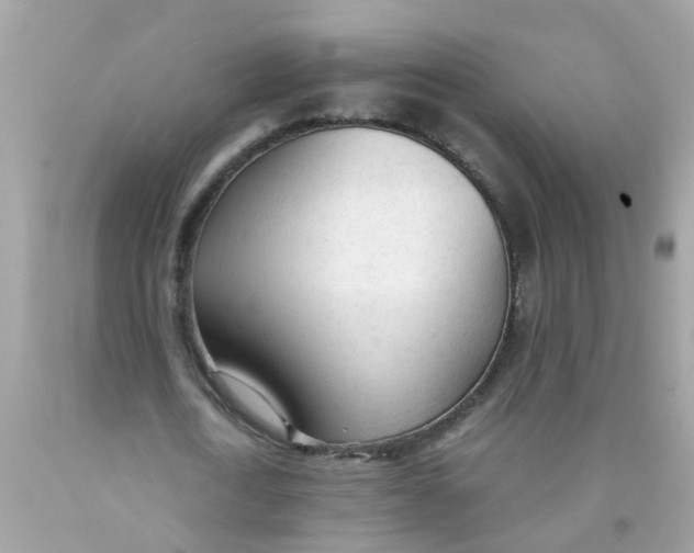 X0000089890722200707262229