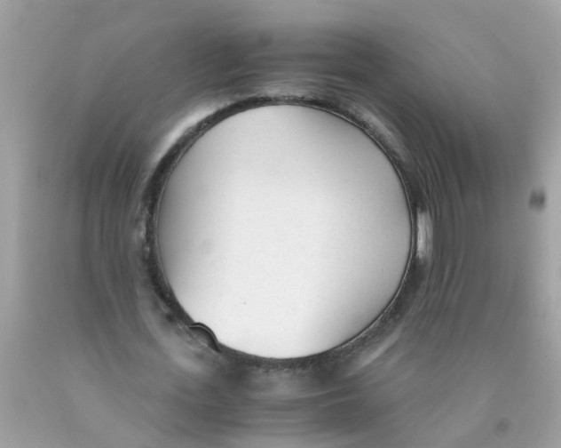 X0000089890723200707262229