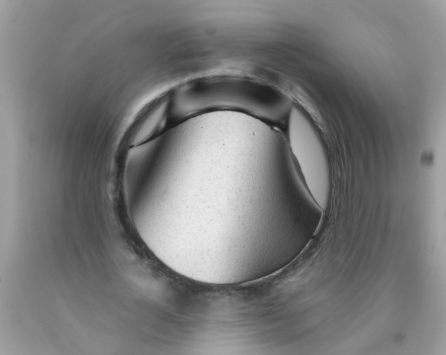 X0000089890724200707262229