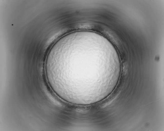 X0000089890725200707262229