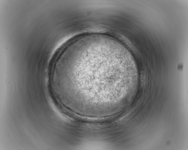 X0000089890726200707262229