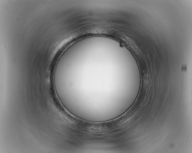 X0000089890727200707262229