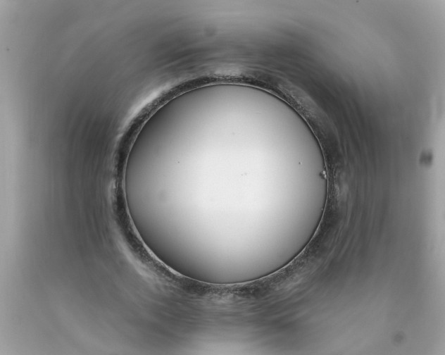 X0000089890728200707262229