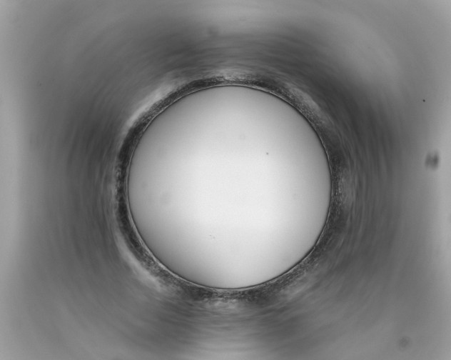 X0000089890730200707262229