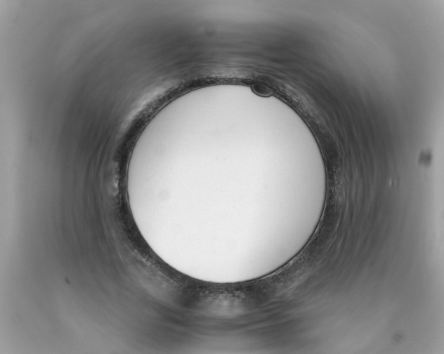 X0000089890731200707262229