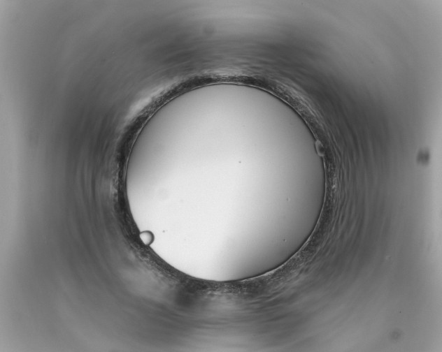 X0000089890732200707262229