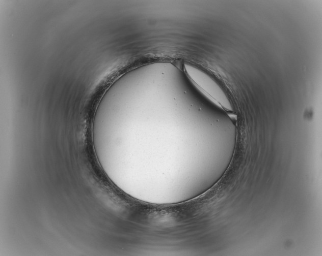 X0000089890735200707262229