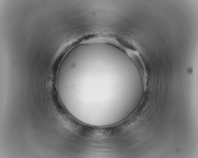 X0000089890736200707262229