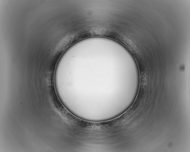 X0000089890738200707262229