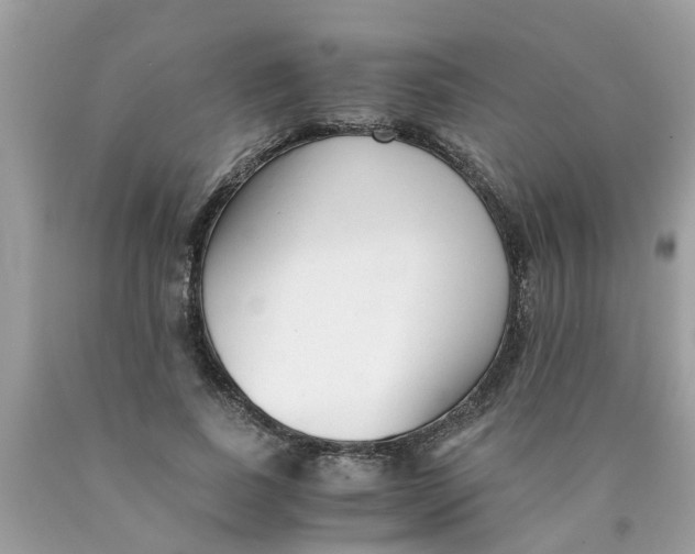 X0000089890739200707262229