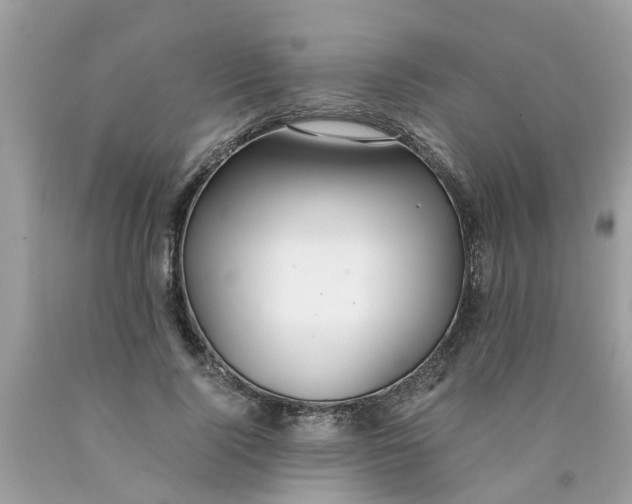 X0000089890740200707262229