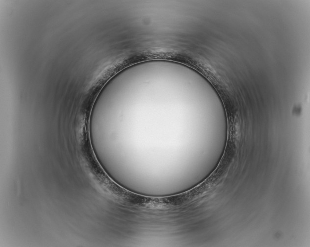 X0000089890742200707262229