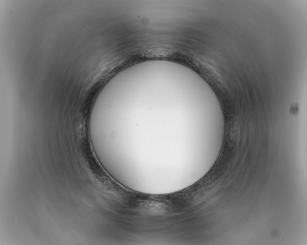 X0000089890743200707262229
