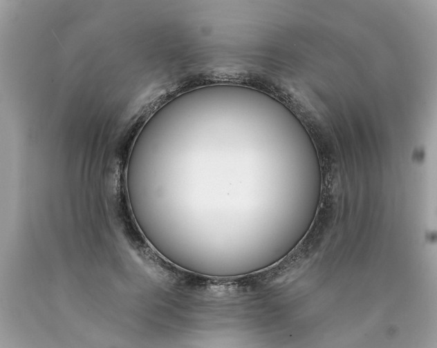 X0000089890744200707262229