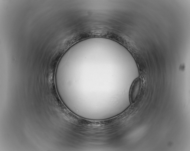 X0000089890745200707262229