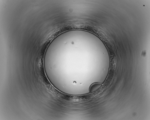 X0000089890746200707262229