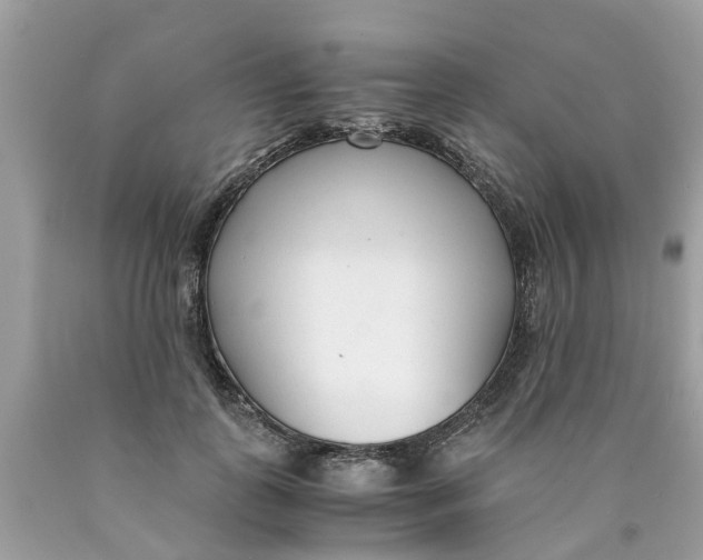 X0000089890747200707262229