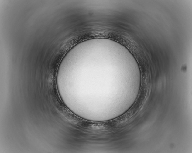 X0000089890749200707262229