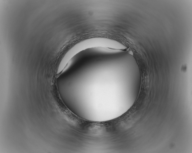 X0000089890750200707262229
