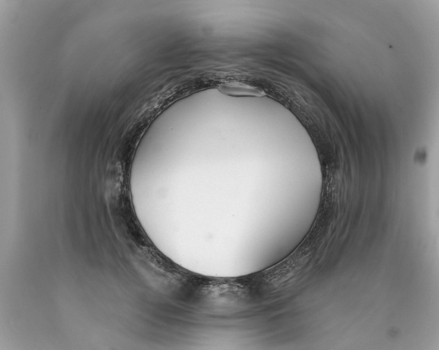 X0000089890752200707262230