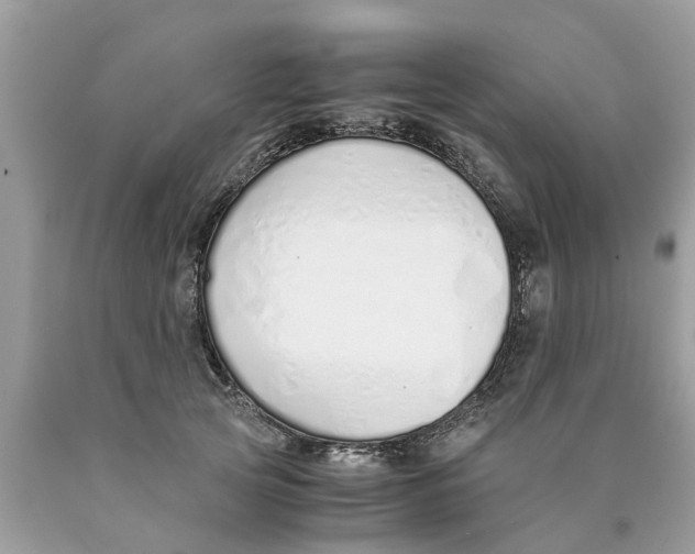 X0000089890753200707262230