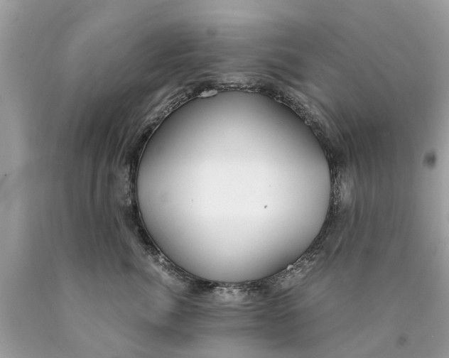 X0000089890764200707262230