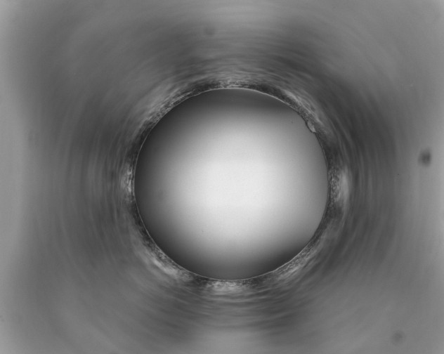 X0000089890766200707262230