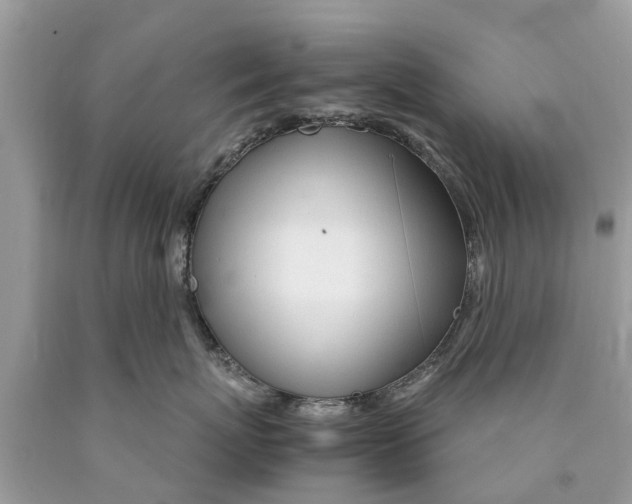 X0000089890767200707262230