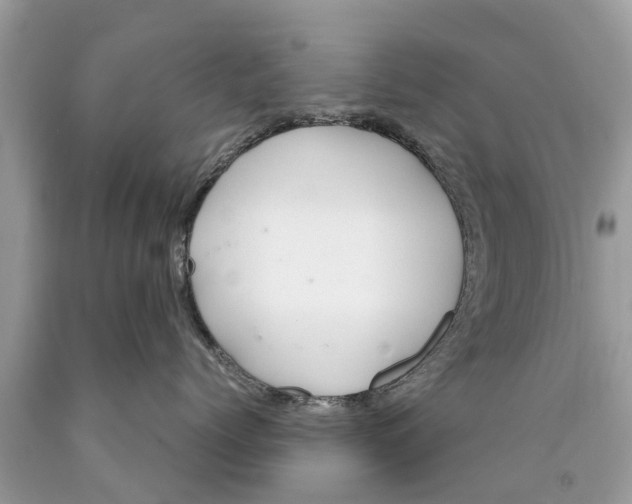 X0000089890768200707262230