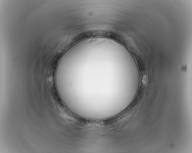X0000089890771200707262229