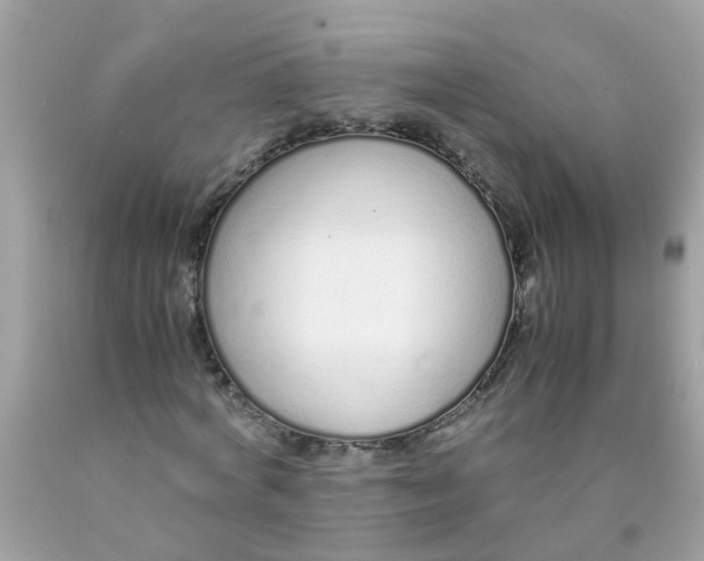 X0000089890772200707262229