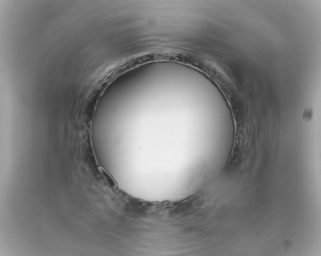 X0000089890773200707262229