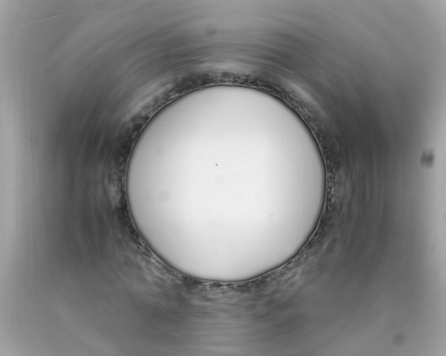 X0000089890774200707262229