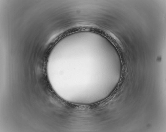 X0000089890775200707262229