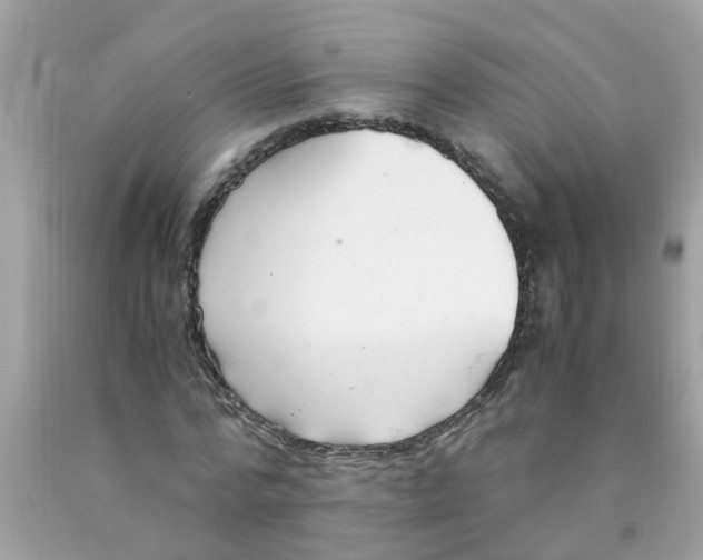 X0000089890776200707262229