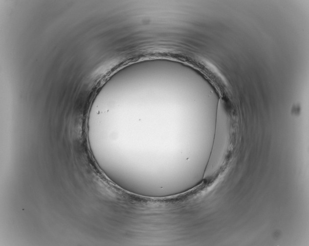 X0000089890777200707262229