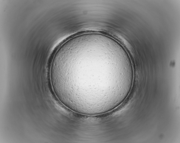 X0000089890779200707262229