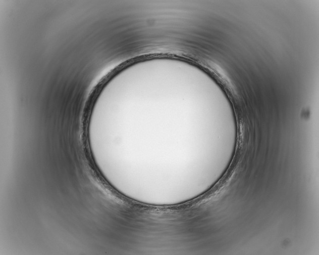 X0000089890780200707262229