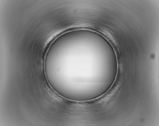 X0000089890781200707262229