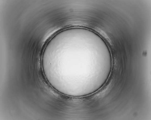 X0000089890782200707262229