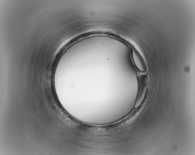 X0000089890783200707262229