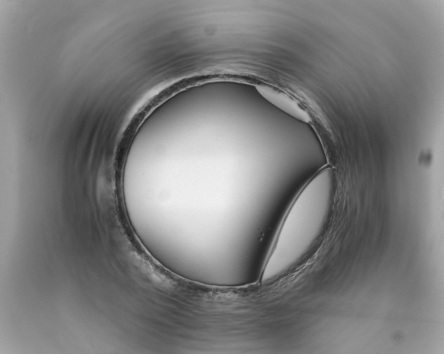 X0000089890784200707262229