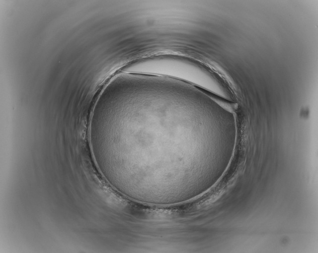 X0000089890785200707262229