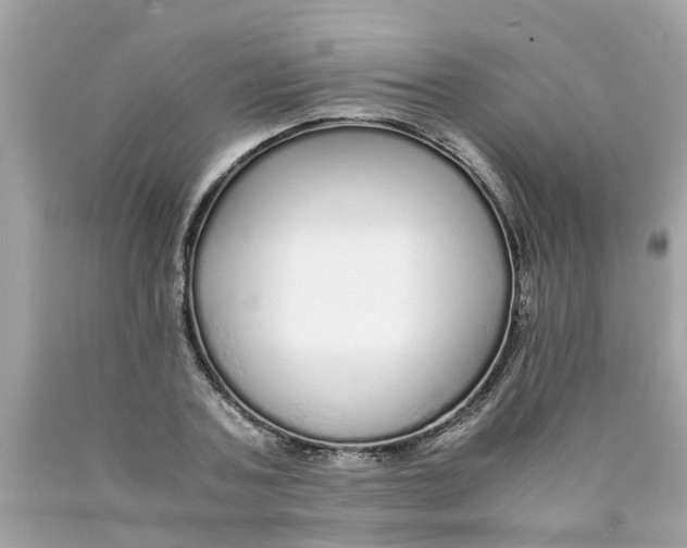 X0000089890787200707262229