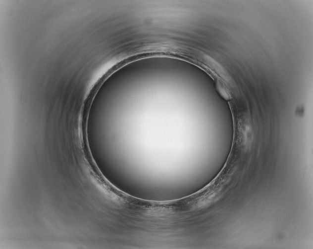 X0000089890788200707262229