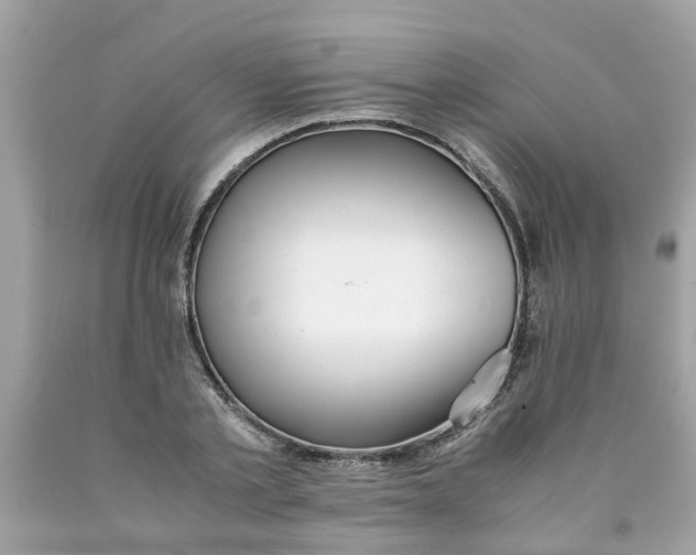 X0000089890789200707262229