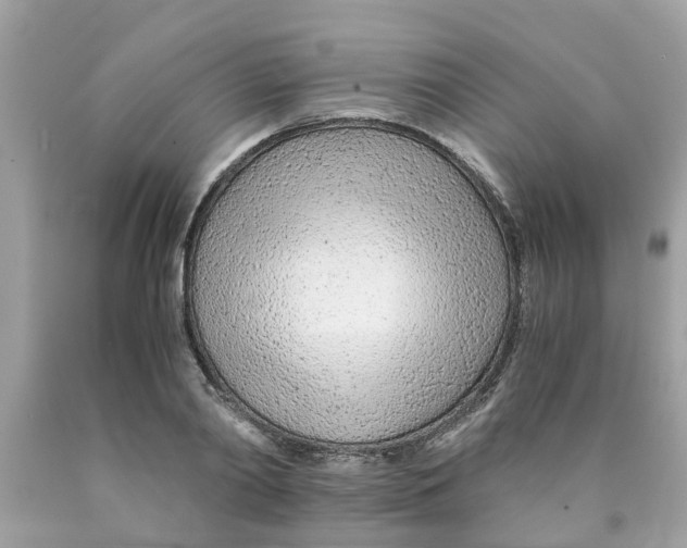 X0000089890790200707262229